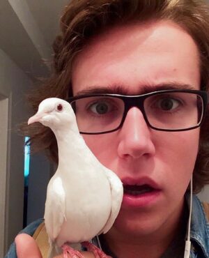 Mathieu Dufour Instagram - 🕊2015-2022 @rubylacolombe 🕊

Je pensais pas m’attacher autant à un oiseau acheté sur Kijiji à 4h du matin pompette. Je vais m’ennuyer de toi pis de ton petit criss de rire de Satan. J’espère que tu vas continuer à être aussi badass et cool au paradis ma chum. BIG LOVE RUB ❤️