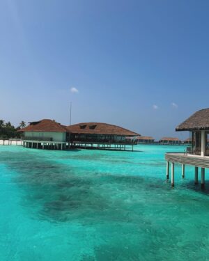 Mathieu Dufresne Instagram - Maldives shenanigans