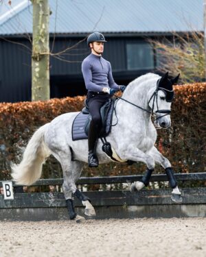 Matt Harnacke Instagram - New kid Buri getting with the program 💪🏻 excited for this guy to find a new home in the near future 🩶 wearing the full Dark Arcus collection @esstockholm