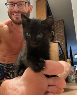 Matt Korklan Instagram - Double or Nothing @allelitewrestling. 👁👁👁
#wrestling #yoga #kittens #cacti #sydal #dantemartin #bryandanielson #aewrampage #aewdoubleornothing