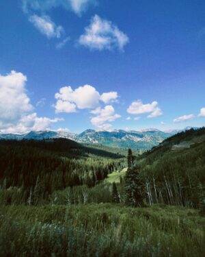Matt Lintz Instagram - The wilderness
