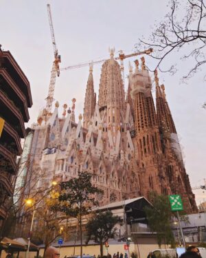 Matt Pardus Instagram - Barcelona je jedna z mých nejoblíbenějších měst ❤️ Tento víkend jsem si to opět potvrdil. I v listopadu jsou tu krásně dlouhé dny, otevřené zahrádky, kde si můžete v klidu během dne posedět i třeba jen v košili, nádherná historie, architektura a celková atmosféra, která tu panuje ❤️ Děkuji moc @mattpardus a Martince z @naturalmallorca, že jste si na mě tento krásný narozeninový výlet vymysleli ❤️ Moc jsem si to užil! 😉
