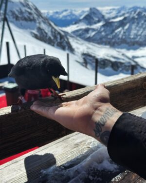 Matteo Martari Instagram - 🏔️
