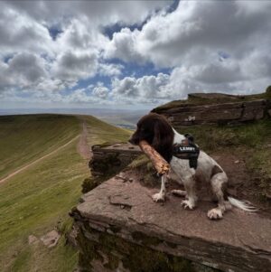 Matthew Pritchard Instagram - Bannau Brycheiniog - Brecon Beacons

Todays work involved being outdoors on the mountains so who better to spend it with than Lemington himself @lemmy_p

#BreconBeacons #Dogs #Hike