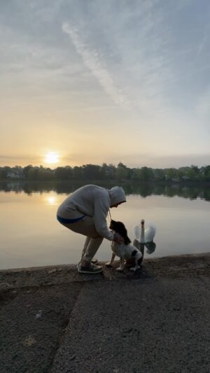 Matthew Pritchard Instagram - Sunshine   dogs   nature = Happiness 

🐶 @lemmy_p

#Sunrise #Summer #DogWalks