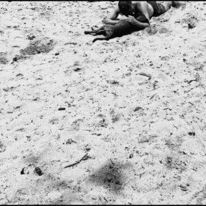 Matthias Schoenaerts Instagram - "But the poor Dog, in life the firmest friend, The first to welcome, foremost to defend, Whose honest heart is still his Master’s own, Who labours, fights, lives, breathes for him alone,"
Lord Byron