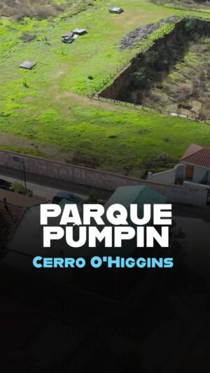 Mauricio Jürgensen Instagram - 💚Dicen que hasta Pelé jugó ahí 😍✨Y como la organización vecinal es una Joya 💎 quisimos destacar una lucha llevada durante años por los vecinos y vecinas del Barrio O’Higgins ✅

🎙️ Acompañemos al callejero @mauriciojurgensenr en este nuevo recorrido donde pudimos conocer la historia tras la resistencia ante un proyecto de 23 torres 😱

#Joyas #Valparaíso #Valpo #ParquePumpin