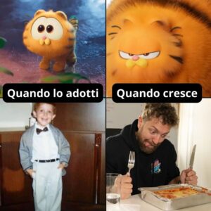 Maurizio Merluzzo Instagram - Da oggi Garfield è al cinema con la mia voce! 😻

Create i vostri meme a tema Garfield e taggatemi nelle storie! I più divertenti li ricondivido!

#GarfieldILFILM @sonypicturesit #adv