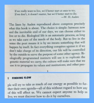 Maury Morgan Instagram - I choose what I read by instinct. Instinct never disappoints.

#instinct #mihalycsikszentmihalyi #findingflow #read #learn #evolve #leanin #books #escapethematrix #openyoureyes #openyourmind #energy #yolo #practiceexcellence