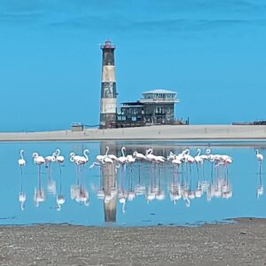 Max Bendo Instagram - Namibia port city walves bay wher the ocean meets the desart amazing