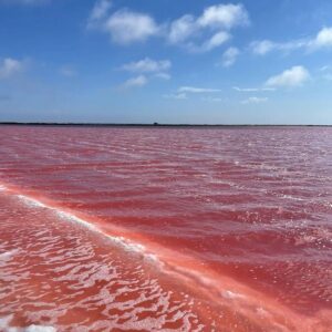 Max Bendo Instagram - Pink lake Namibia(Namibia da pembe gol)