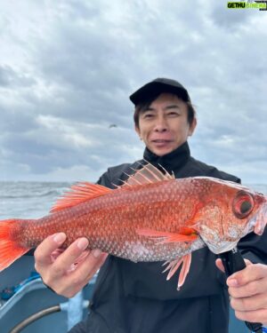 Max Matsuura Instagram - アカムツ特大 笑 釣れたよ！

#釣り
#アカムツ 
#のどぐろ 
#maxmatsuura
#fishing