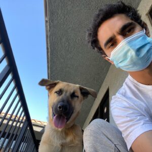 Max Minghella Instagram - One year of living with this party animal #adoptdontshop @thelabellefoundation