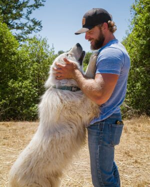 Max Thieriot Instagram - Big “Bear” has been a champ since he moved on to the ranch! He’s great with the boys and keeps an eye on everything! So happy he joined the family ❤️ . Thanks @jakwonderly for capturing the moments! 🙏🙌 📸 #greatpyrenees #photography #fridayvibes #fridaymood @senseswines #senseswines #dogsofinsta #dogs #workingdog #vineyard #sonomacoast #jakwonderly #westsonomacoast