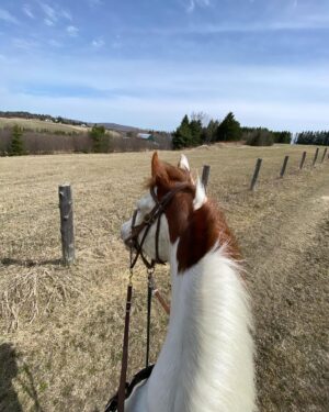 Maxime Dufour-Lapointe Instagram - Laisser le temps au temps de faire son temps, une balade à la fois 🐴🤎✨