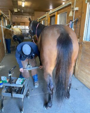 Maxime Dufour-Lapointe Instagram - Laisser le temps au temps de faire son temps, une balade à la fois 🐴🤎✨