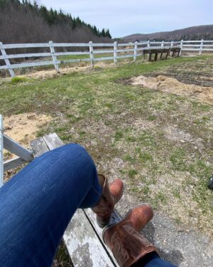 Maxime Dufour-Lapointe Instagram - Laisser le temps au temps de faire son temps, une balade à la fois 🐴🤎✨