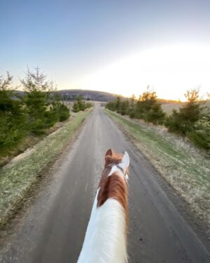 Maxime Dufour-Lapointe Instagram - Laisser le temps au temps de faire son temps, une balade à la fois 🐴🤎✨