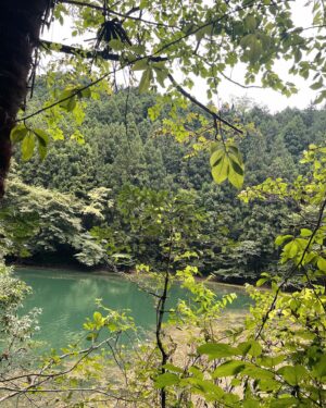 Mayuna Saburi Instagram - テントサウナしてきました🧖🏼‍♀️

サウナをした後、湖に入って
supの上でゆらゆら外気浴🌿

気持ちよかった✨

#サ活 #テントサウナ 
#アウトドアサウナ