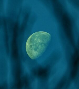 Mayur More Instagram - Moonaa is mooning!!
.
.
.
.
.
.
.
.
.
.
.
.
.
#moon #themoon #moonlight #fullmoon #wintermoon #winter #sky #blue #grass #skyporn #moonporn #lunar #space #moonpics #astrophotography #solar #planets #ig_moon #earth #stars