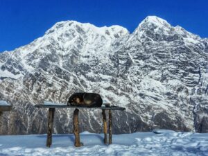 Mayur More Instagram - DON'T WORRY, BE NAPPY!!.
.
.
.
.
.
.
.
.
.
#dog #dogofmountains #mountains #himalaya #snow #sleep #mardihimal #Nepal
