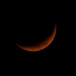 Mayur More Instagram - Moonaa Laal!
.
.
.
.
.
.
.
.
#redmoon #moon #moonphotography #sky #skyporn