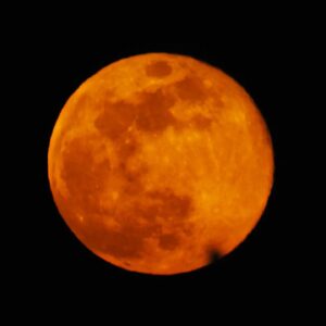 Mayur More Instagram - Moonaa Laal!
.
.
.
.
.
.
.
.
#redmoon #moon #moonphotography #sky #skyporn
