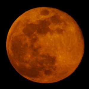 Mayur More Instagram - Moonaa Laal!
.
.
.
.
.
.
.
.
#redmoon #moon #moonphotography #sky #skyporn