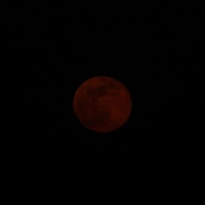 Mayur More Instagram - Moonaa Laal!
.
.
.
.
.
.
.
.
#redmoon #moon #moonphotography #sky #skyporn