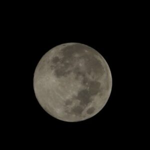 Mayur More Instagram - Moona Bhai!
.
Last full moon of the year also known as 'Cold Moon'
.
.
.
.
.
.
.
.
.
#fullmoon #moon #sky #earth #moonphotography #cosmos
#december #cold #coldmoon