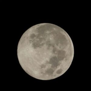Mayur More Instagram - Moona Bhai!
.
Last full moon of the year also known as 'Cold Moon'
.
.
.
.
.
.
.
.
.
#fullmoon #moon #sky #earth #moonphotography #cosmos
#december #cold #coldmoon