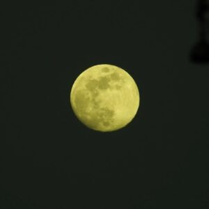Mayur More Instagram - Moona Bhai!
.
Last full moon of the year also known as 'Cold Moon'
.
.
.
.
.
.
.
.
.
#fullmoon #moon #sky #earth #moonphotography #cosmos
#december #cold #coldmoon