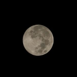 Mayur More Instagram - Moona Bhai!
.
Last full moon of the year also known as 'Cold Moon'
.
.
.
.
.
.
.
.
.
#fullmoon #moon #sky #earth #moonphotography #cosmos
#december #cold #coldmoon