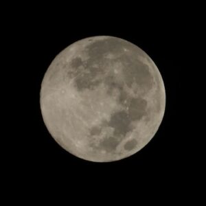 Mayur More Instagram - Moona Bhai!
.
Last full moon of the year also known as 'Cold Moon'
.
.
.
.
.
.
.
.
.
#fullmoon #moon #sky #earth #moonphotography #cosmos
#december #cold #coldmoon