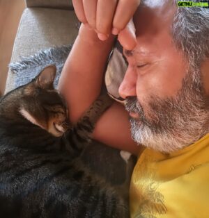 Mazlum Çimen Instagram - Fistan’ la 😴💤😻