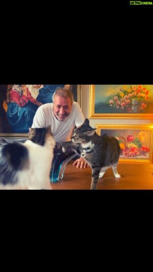 Mazlum Çimen Instagram - Kedilerim Kedi, Fistan, ben ve bir gün.. Tırtıl Sevda (Gözlerin Yar) fondaki eser.. Mazlum Çimen YouTube kanalında videonun tamamına ulaşabilirsiniz..