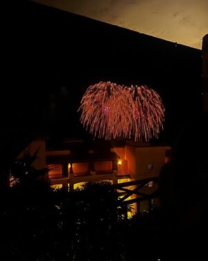 McKenna Roberts Instagram - Goodbye 2023, I wish you all a happy and prosperous new year with all my heart🎉🎉 #2023recap #happynewyear #2024