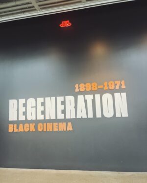 Meagan Holder Instagram - An afternoon @academymuseum. Dorothy, Sidney and so many other inspirations. The must see Black Cinema Regeneration exhibit is on through July 16th 🖤