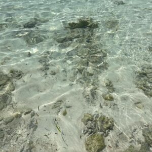 Meaningful Stone Instagram - 문득 여행하다가 돈을 잃어버렸나 아차 싶다가도 뭐 좀 잃어버리면 어때 길 좀 헤매면 어때 잘못 예약했으면 어때 그런 생각이 들다가 삶은 그 자체가 여행이라고 집에 돌아와서 숙제 같은 일상을 들여다보다가 숨이 막히면 좁은 천장에 가려진 수 많은 별들을 다시 떠올려보게 되는 것이다
