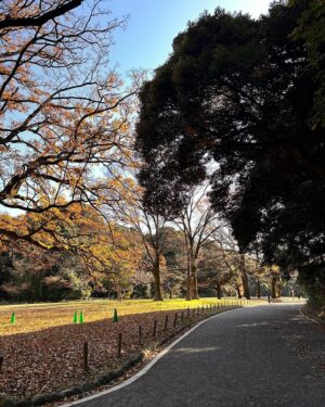 Mecco Chang Instagram - Bright winter in Japan. We are in the mood of love. 
🍁🌞
陽光燦爛的冬季是小清新

史詩般的文藝建築 絕美而壯麗￼

八方美景盡收眼底 

捎來放鬆的節奏  是愛情呀…♥️