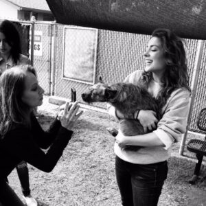 Megan Serena Trainer Instagram - Holiday season is amongst us & if you’re looking to gift a dog, a very friendly reminder that there are SO many dogs... both pure breeds & mixed breeds in shelters waiting for a forever home. 
adopt, don’t shop this holiday season 🥰

#adoptdontshop #shelterdog #shelterdogsofinstagram #shelterdogsrock #secondchance #help #rescue #rescuedogsofinstagram