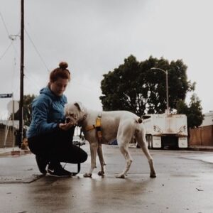 Megan Serena Trainer Instagram - #GivingTuesday is Dec. 3! Join me on this incredible day of giving by donating to @BestFriendsAnimalSociety to help save homeless pets. Every donation will be matched, so your kindness will go twice as far! Visit the link in my bio, and let’s work together to #SaveThemAll this holiday season. 
#dogsofinstagram #dogs #rescuedogsofinstagram #adoptdontshop #boxersofinstagram #boxerrescuela #savinglives #instagood #instasave #rescuingsaveslives #animals #helpthevoiceless