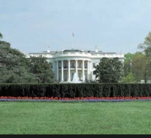 Mehcad Brooks Instagram - What’s next? Let’s discuss. 

#democracy #election2024 #potus #wearehere