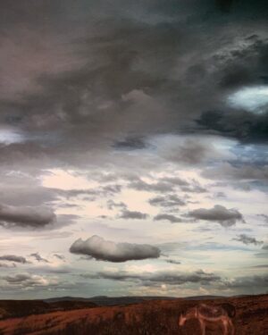 Mehmet Ali Nuroğlu Instagram - ebedi bir an 🌫♾
@ebruceylan @ekavartgallery