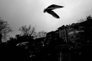Mehmet Ali Nuroğlu Instagram - #tbt gezi
#blackandwhitephotography 
#ricohgr