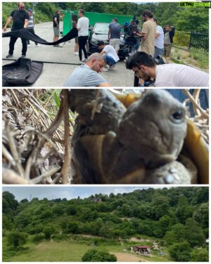 Mehmet Çetin Instagram - Make a action movie in nature.  my new friend the Turtle Fero.
.
Doğa içinde aksiyon çekmek, en sevdiğim… Yeni arkadaşım Kaplumbağa Fero ile tanışın.
@dreamlife_studios 🎥