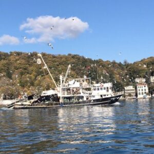 Mehmet Gürs Instagram - Boğaz... Kanal manal değil!
#istanbulboğazı 
#bosphorus