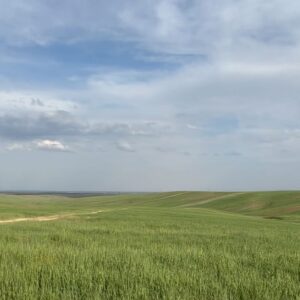 Mehrdad Sedighian Instagram - برای پیدا کردن جایی که نمیشه پیداش کرد ، اول باید گم شد. اگه غیر از این بود همه پیداش میکردن

#jack_sparrow