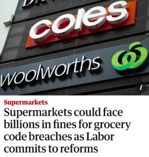 Mehreen Faruqi Instagram - Food and grocery prices won’t come down unless we make price gouging illegal and create powers to break up the supermarket duopoly 👆🏽