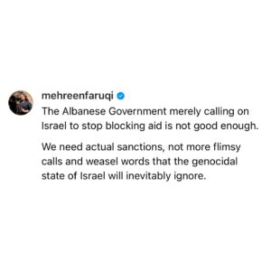 Mehreen Faruqi Instagram - More aid funding for Gaza is the bare minimum.